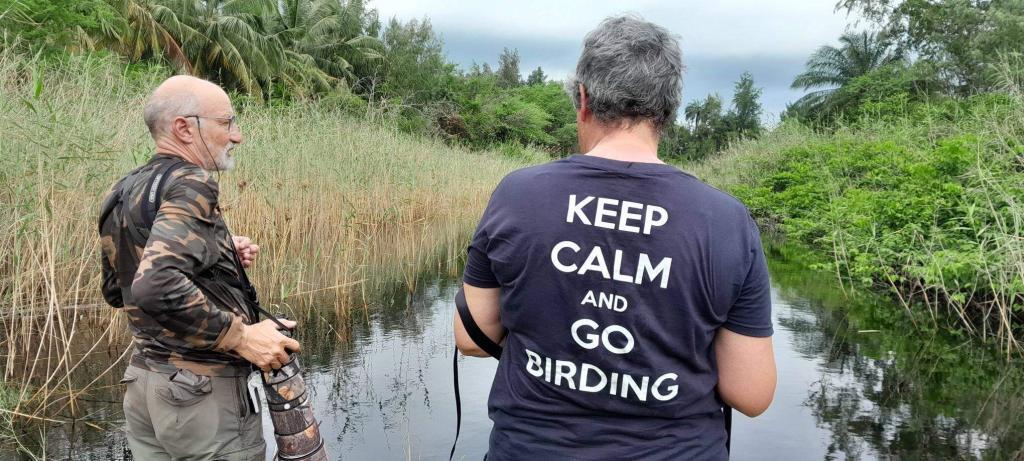 voyage et séjour ornithologique en Casamance