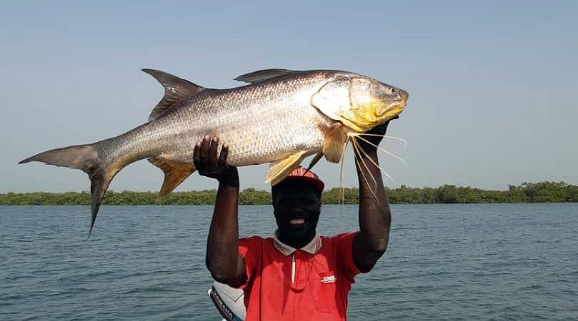 guide de peche au senegal