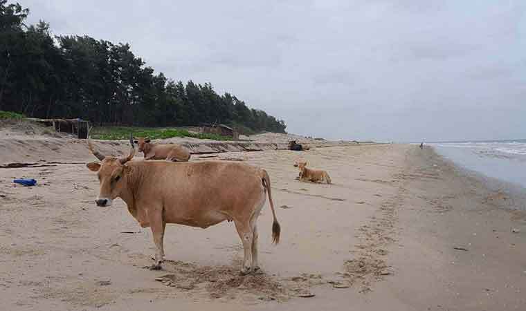 circuits randonnees en casamance