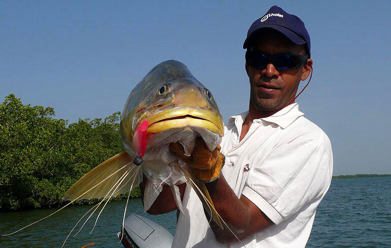 pêche du poisson capitaine