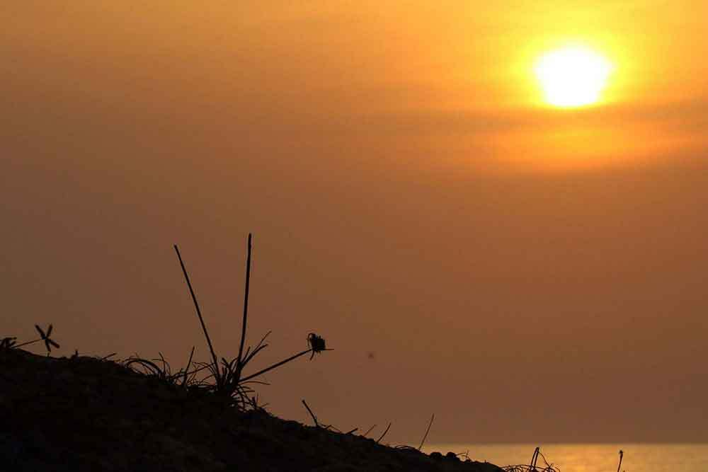 trek randonnee en haute casamance